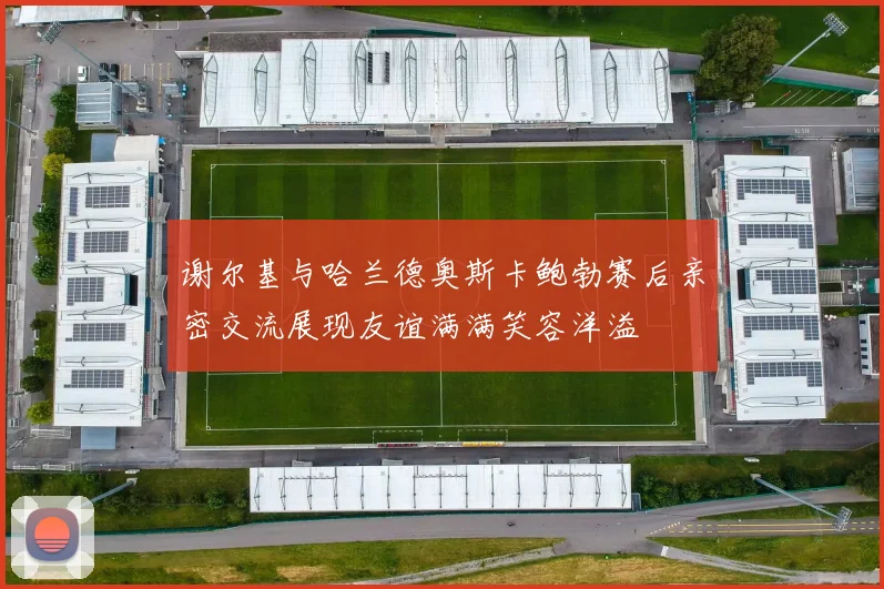 谢尔基与哈兰德奥斯卡鲍勃赛后亲密交流展现友谊满满笑容洋溢