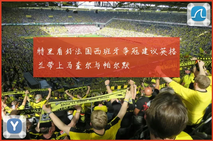特里看好法国西班牙争冠建议英格兰带上马奎尔与帕尔默